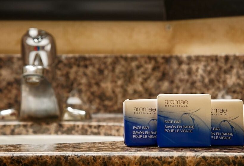 غرفه قياسيه سريرين مزدوجين, Best Western Bar Harbour Inn