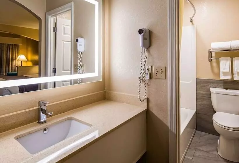 ２ダブルベッドのスタンダードルーム, Best Western Catalina Inn