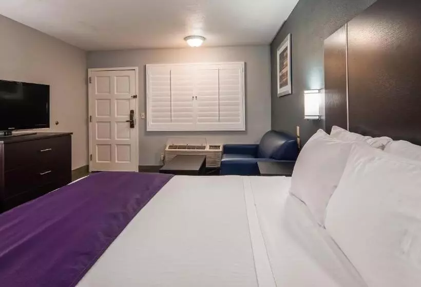 اتاق استاندارد با تخت بزرگ, Best Western Desert Villa Inn