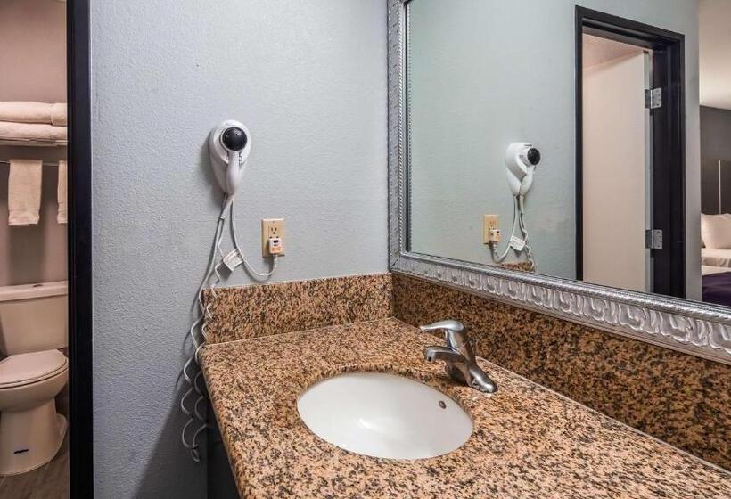 غرفة قياسية سرير كينج, Best Western Desert Villa Inn