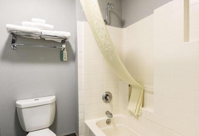 غرفة قياسية سرير كينج, Best Western Desert Villa Inn