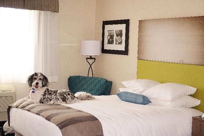 キングサイズベッドのスイートルーム, Best Western Dubois