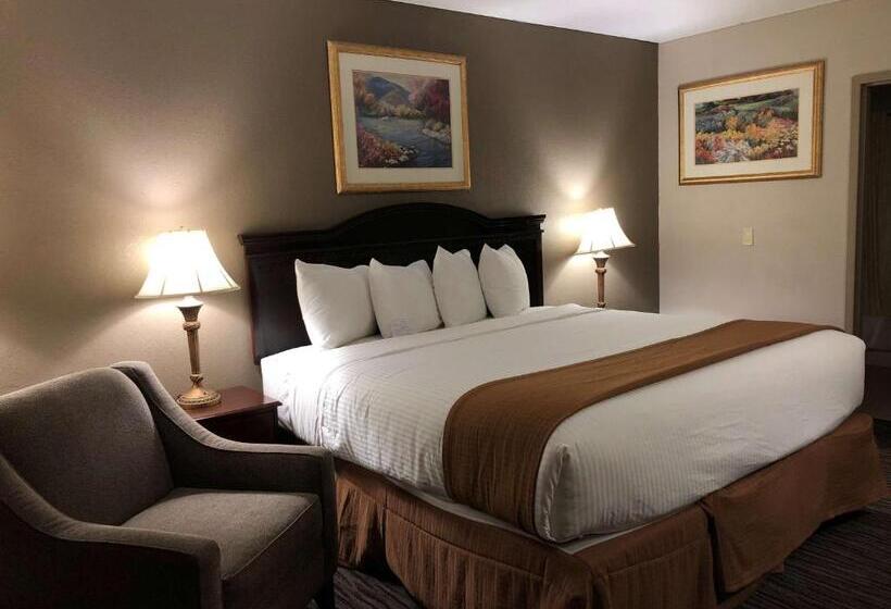 غرفة قياسية سرير كينج, Best Western Gateway Adirondack Inn
