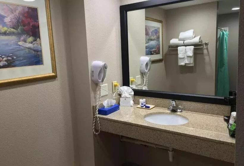 身障者適用キングサイズベッドルーム, Best Western Gateway Adirondack Inn