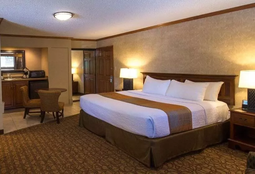 سوییت جونیور, Best Western Inn Of The Ozarks