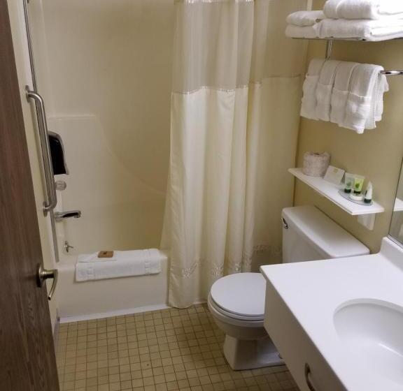 غرفة قياسية لذوى الاحتياجات الخاصة, Best Western La Grande Hacienda