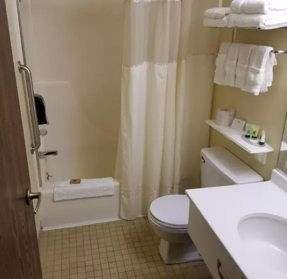 身障者適用スタンダードルーム, Best Western La Grande Hacienda