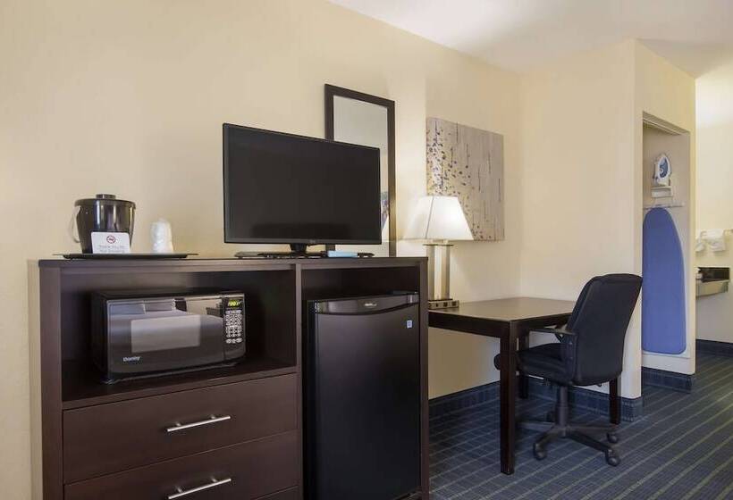 غرفه قياسيه سريرين مزدوجين, Best Western Parkside Inn