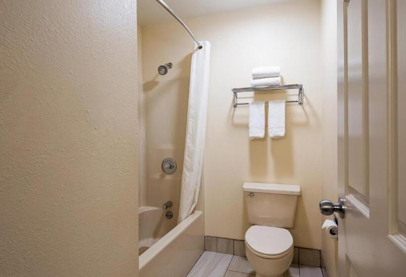 غرفة قياسية سرير كينج, Best Western Parkside Inn