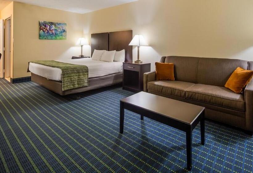 غرفة قياسية سرير كينج, Best Western Parkside Inn