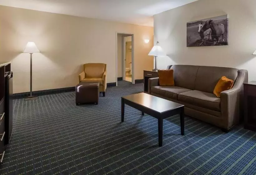 キングサイズベッドのスイートルーム, Best Western Parkside Inn