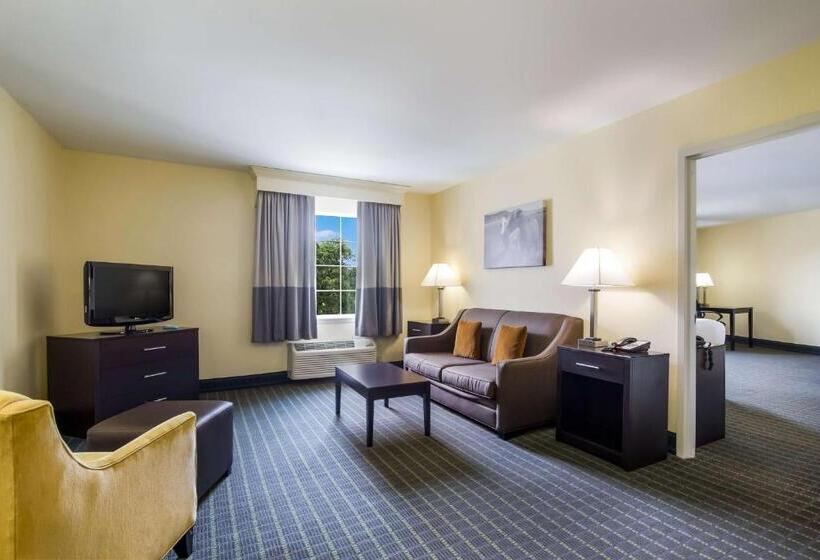 جناح سرير كينج, Best Western Parkside Inn