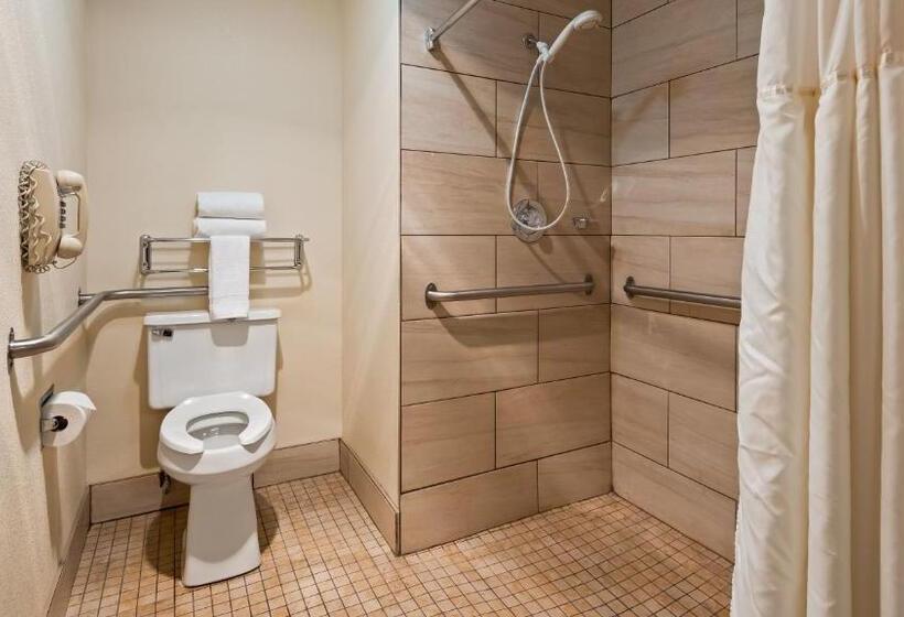 غرفة قياسية سرير كينج لذوى الإحتياجات الخاصة, Best Western Parkside Inn