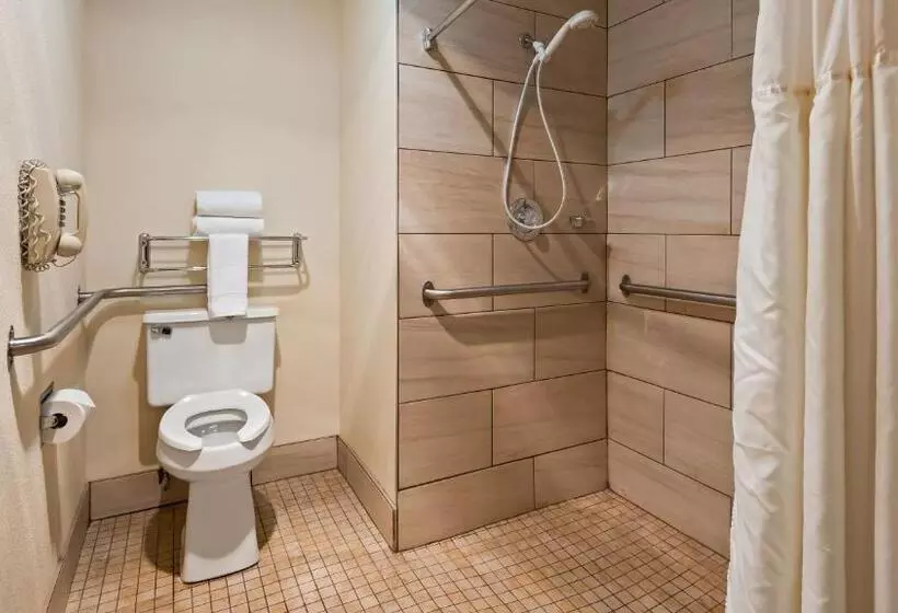 身障者適用キングサイズベッドルーム, Best Western Parkside Inn