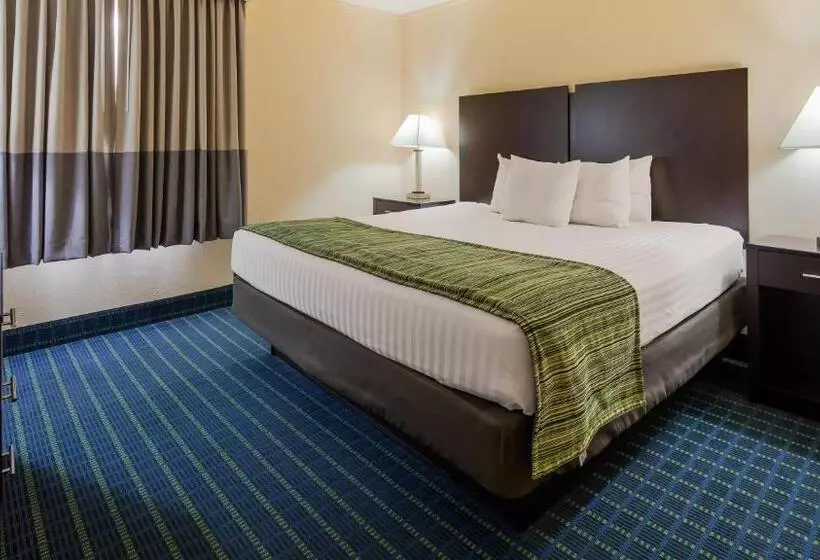 身障者適用キングサイズベッドルーム, Best Western Parkside Inn