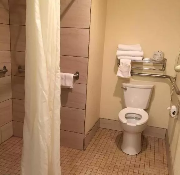 身障者適用キングサイズベッドルーム, Best Western Parkside Inn