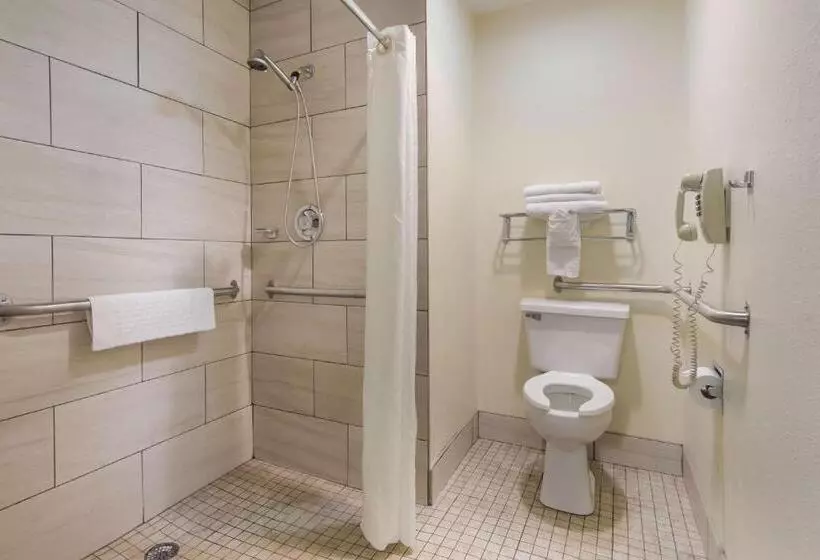 身障者適用キングサイズベッドルーム, Best Western Parkside Inn
