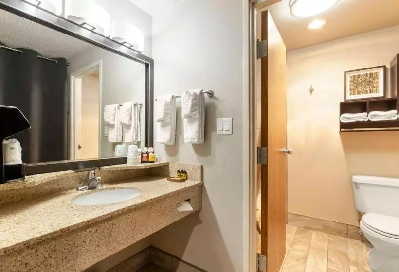 اتاق استاندارد با تخت بزرگ, Best Western Plus Midwest Inn