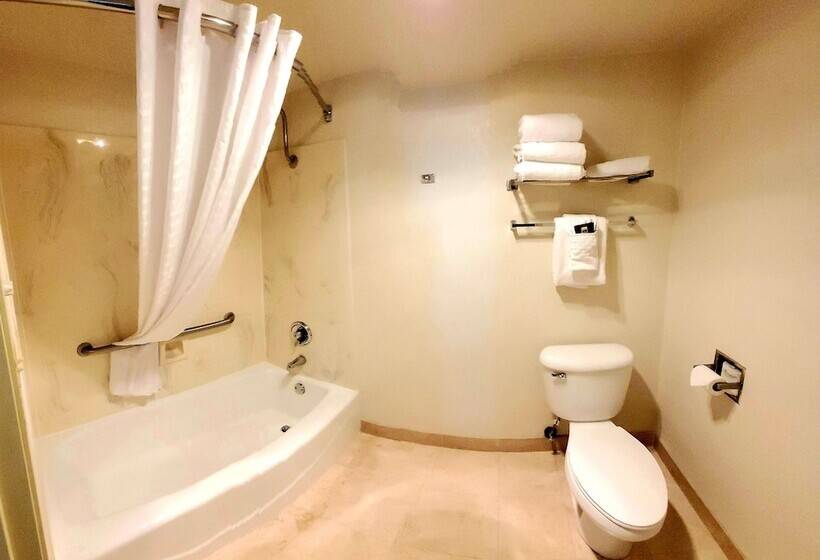 غرفه قياسيه سريرين مزدوجين, Best Western Plus Northwoods Inn