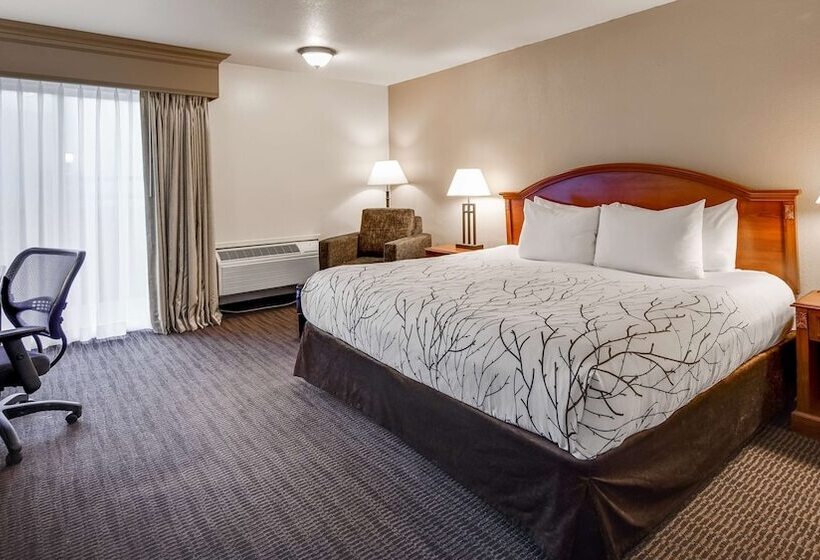 غرفة ديلوكس, Best Western Prescottonian