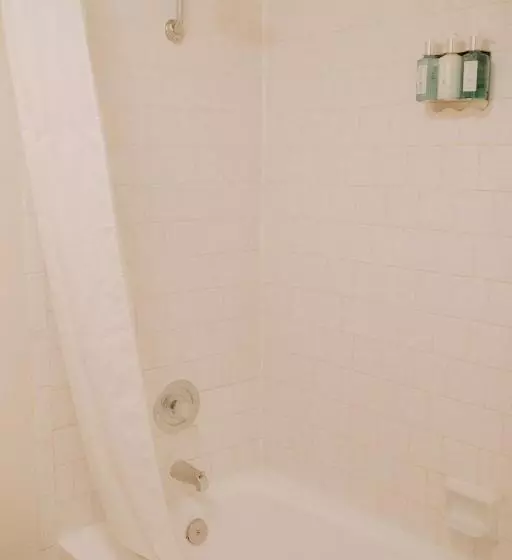 اتاق استاندارد با تخت بزرگ, Best Western Sonoma Winegrower's Inn