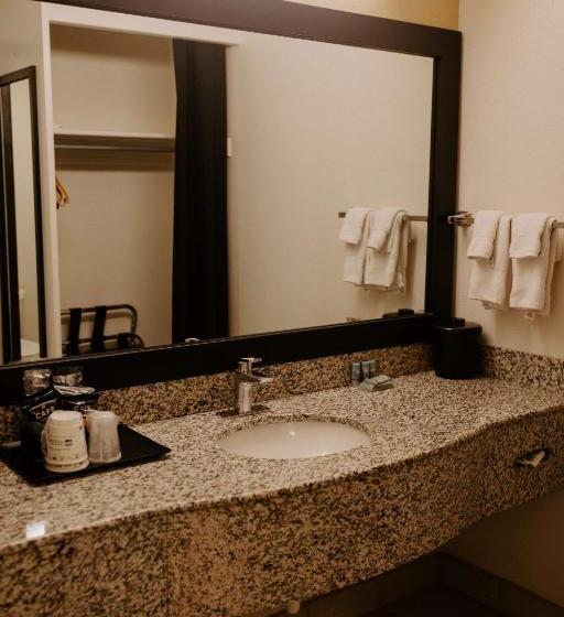 חדר סטנדרט עם מיטת קינג, Best Western Sonoma Winegrower's Inn