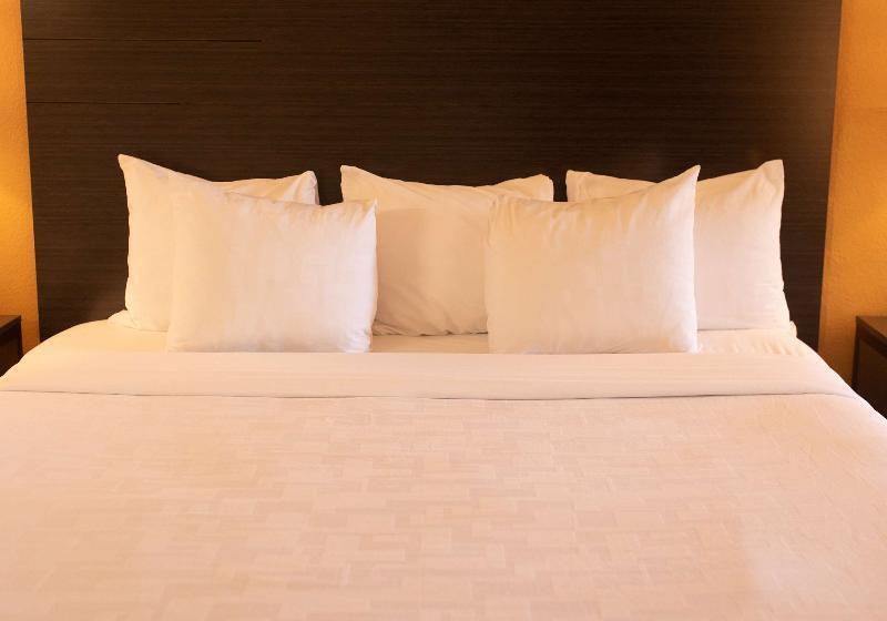 חדר סטנדרט עם מיטת קינג, Best Western Sonoma Winegrower's Inn