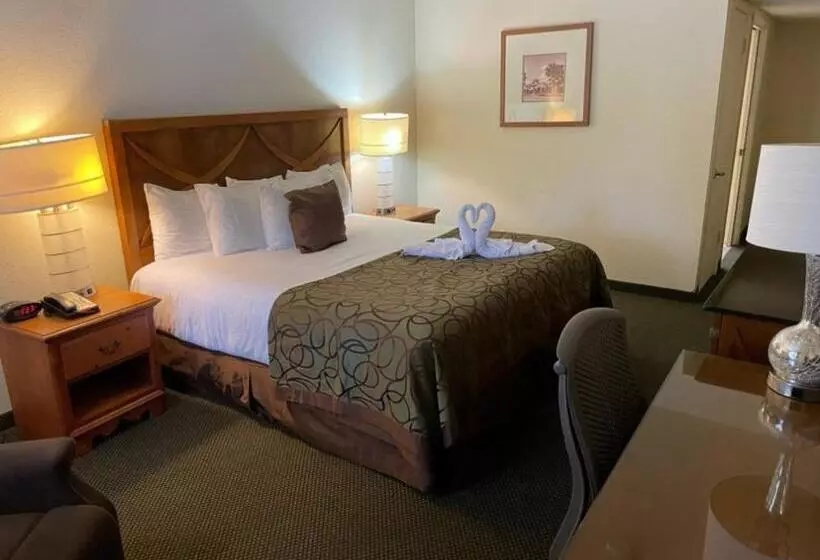 キングサイズベッドのスタンダードルーム, Coronado Motor Hotel, A Travelodge By Wyndham
