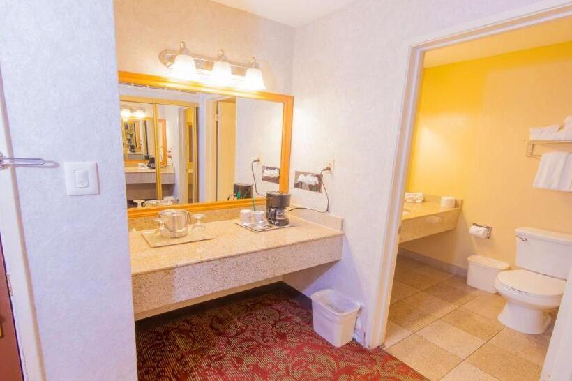 스탠다드 룸 풀장 전망, Clarion Hotel Bakersfield North