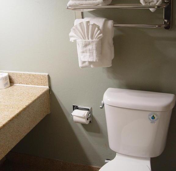 חדר סטנדרט נוף לבריכה, Clarion Hotel Bakersfield North