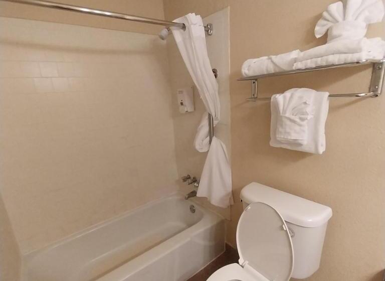 חדר סופריור עם מיטת קינג, Clarion Hotel Bakersfield North