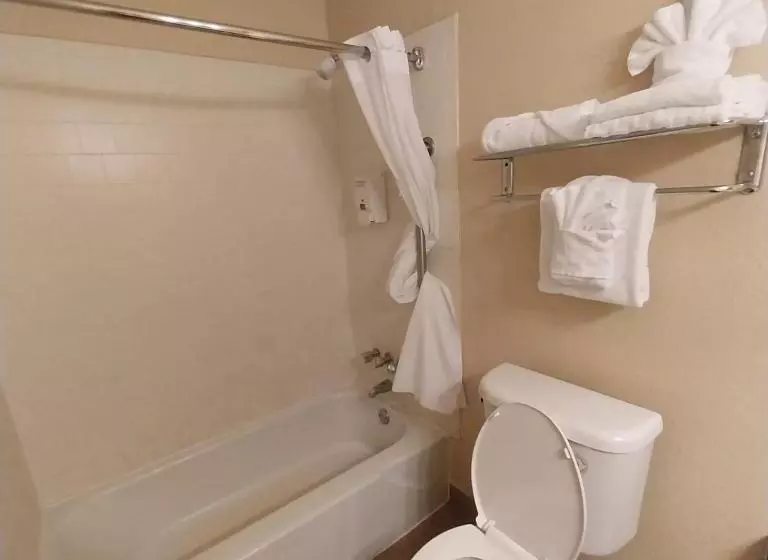 اتاق سوپریور با تخت بزرگ, Clarion Hotel Bakersfield North