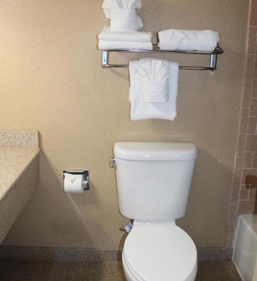 디럭스 룸 킹사이즈 침대, Clarion Hotel Bakersfield North