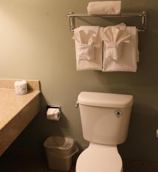 스탠다드 룸 킹사이즈 침대, Clarion Hotel Bakersfield North