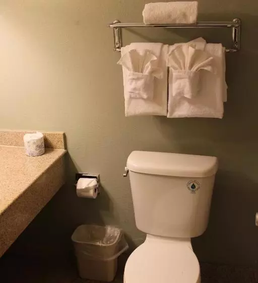 اتاق استاندارد با تخت بزرگ, Clarion Hotel Bakersfield North