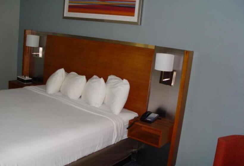 스탠다드 룸 킹사이즈 침대, Clarion Hotel Bakersfield North