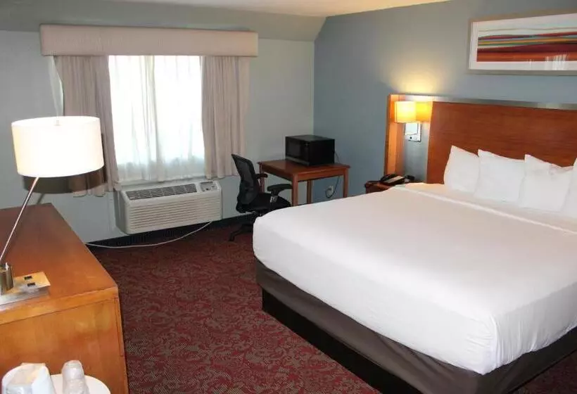 اتاق استاندارد با تخت بزرگ برای معلولان, Clarion Hotel Bakersfield North