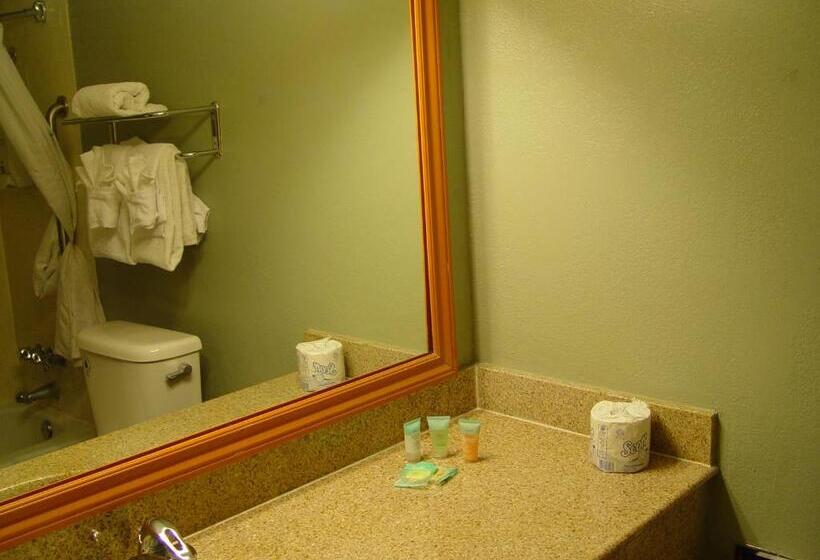 수피리어 룸, Clarion Hotel Bakersfield North