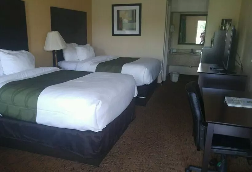 Standard-huone 2 Parivuodetta, Quality Inn & Suites