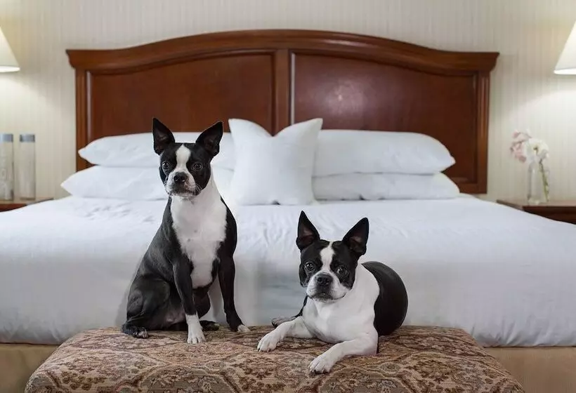 スタンダードルーム, Rogue Regency Inn & Suites