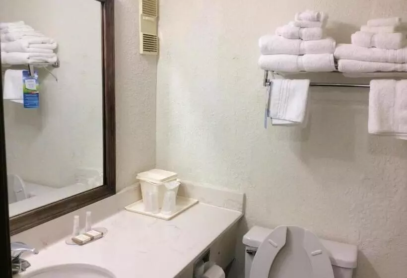 اتاق استاندارد با تخت بزرگ, Baymont By Wyndham Greensboro/coliseum