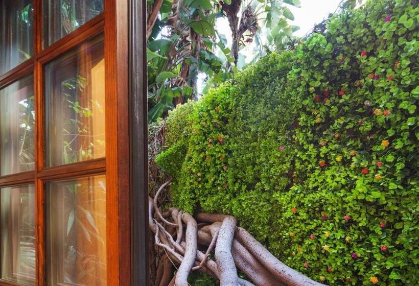 סוויטה עם ג'קוזי, Best Western Plus Sunset Plaza