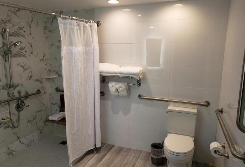 חדר סטנדרט, מיטת קינג, מותאם לאדם עם מוגבלויות, Best Western Plus Sunset Plaza