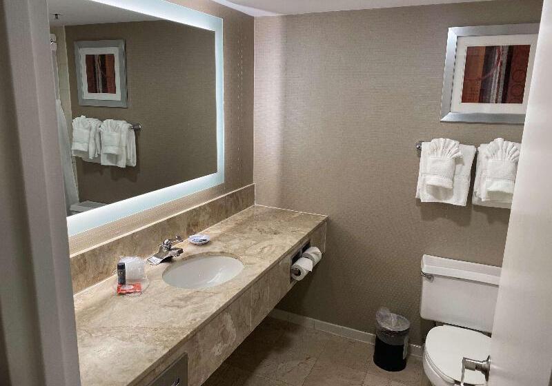 身障者適用スタンダードルーム, Best Western Plus Sunset Plaza