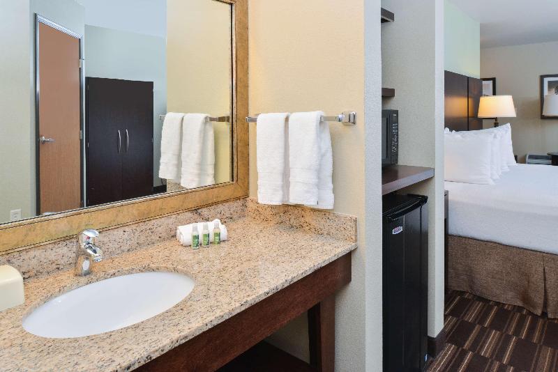 스탠다드 룸 킹사이즈 침대, Best Western Sundowner