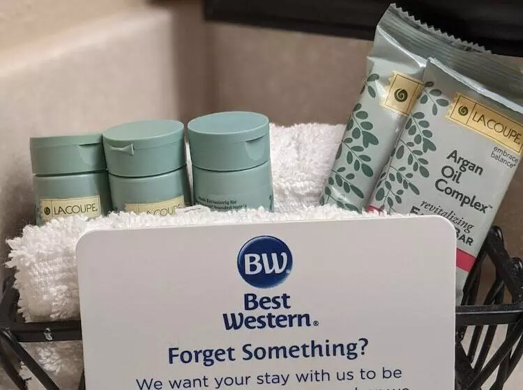 ２ダブルベッドのスタンダードルーム, Best Western University Inn