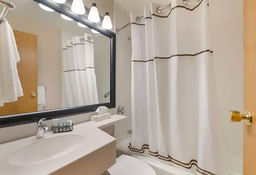 ２ダブルベッドのスタンダードルーム, Best Western University Inn
