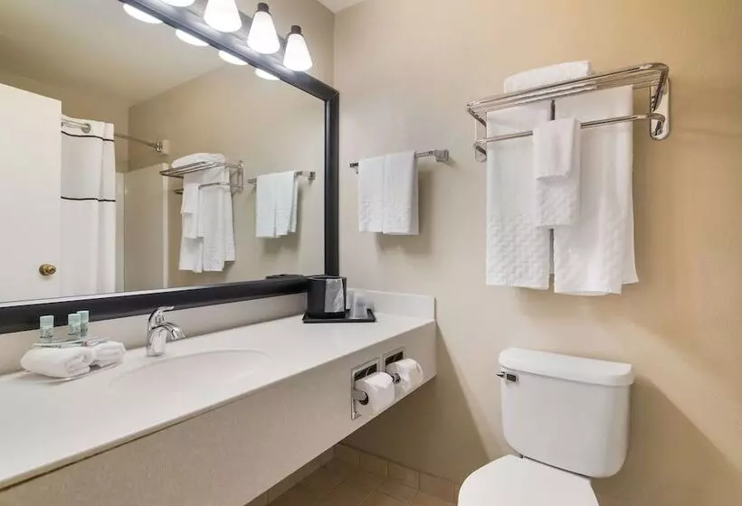 エクゼクティブルーム, Best Western University Inn