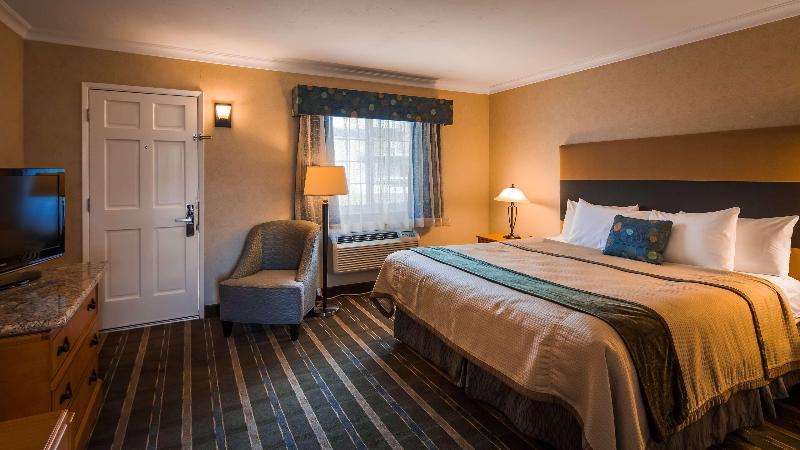 חדר סטנדרט עם מיטת קינג, Best Western University Lodge