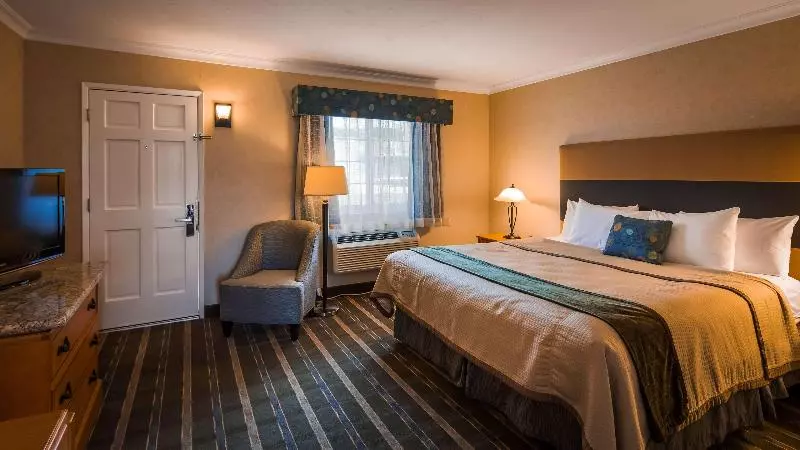 اتاق استاندارد با تخت بزرگ, Best Western University Lodge